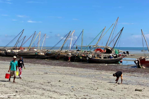 Bagamoyo: Explore Historic Slave Trade Route & Kaole Ruins