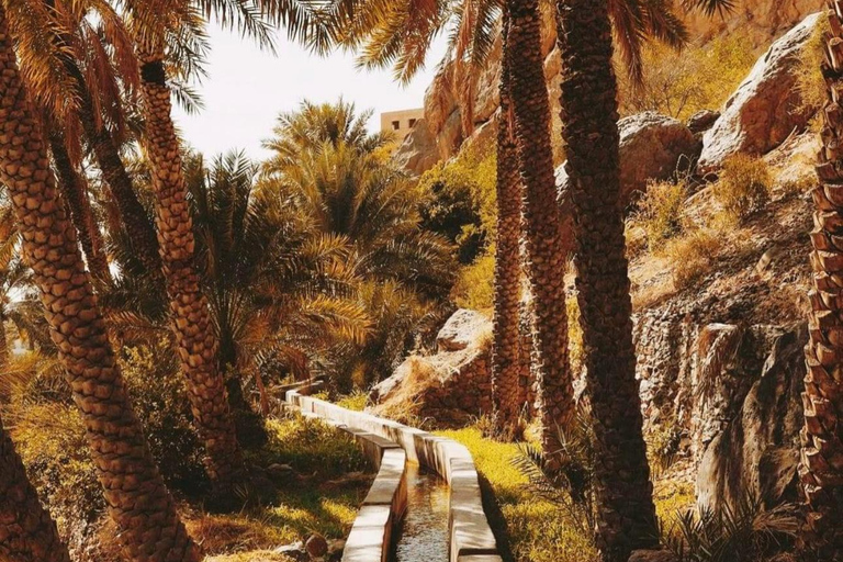 Muscat Oman Grand Canyon, Jebel Shams & Nizwa