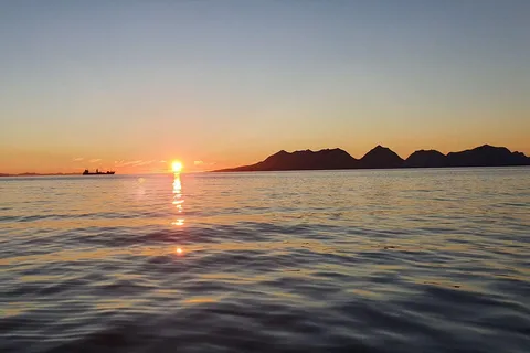 Sommarøy: Tour di mezzanotte in minibus