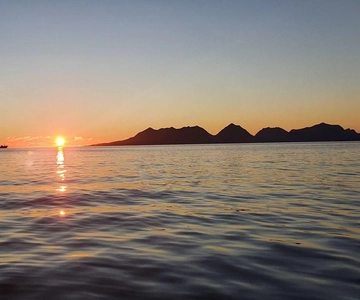Sommarøy: Midnight Tour by minibus