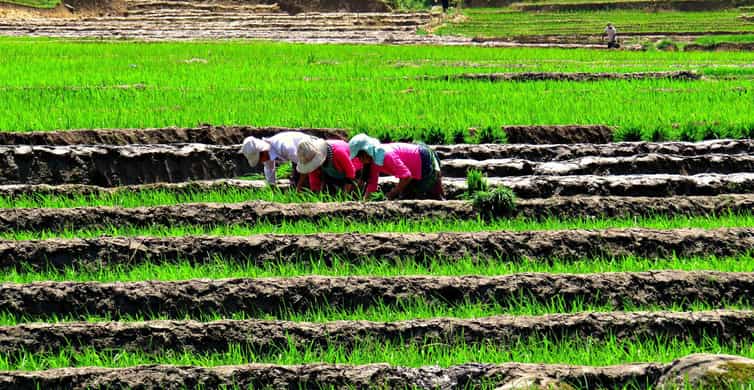 Trek à Sapa avec guide francophone, 2 jours et 1 nuit
