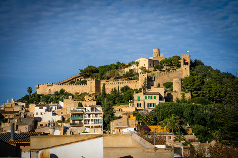 Palma: Old Town Guided Tour with Cathedral Skip-the-Line