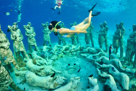 From Lombok: Gili Islands Private Snorkeling & Turtle Tour Private snorkeling with Roundtrip Hotel Transfer from Kuta