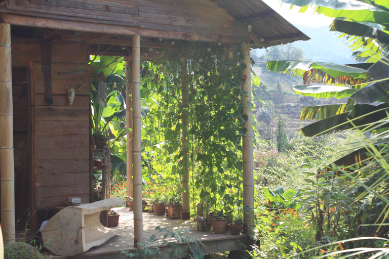 Batumi: Sweet Excursion and Mtirala Forest