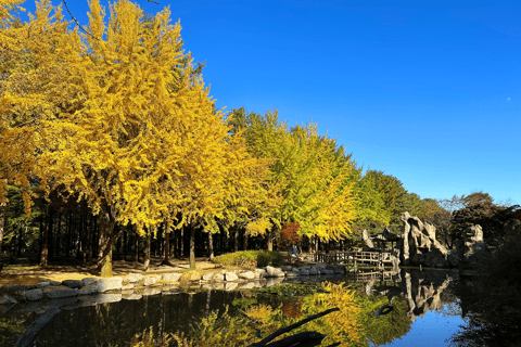 Seoul: Seorak Mountain+Nami Island+Eobi Ice Valley Tour Group Tour, departing from Hongik Univ. Station