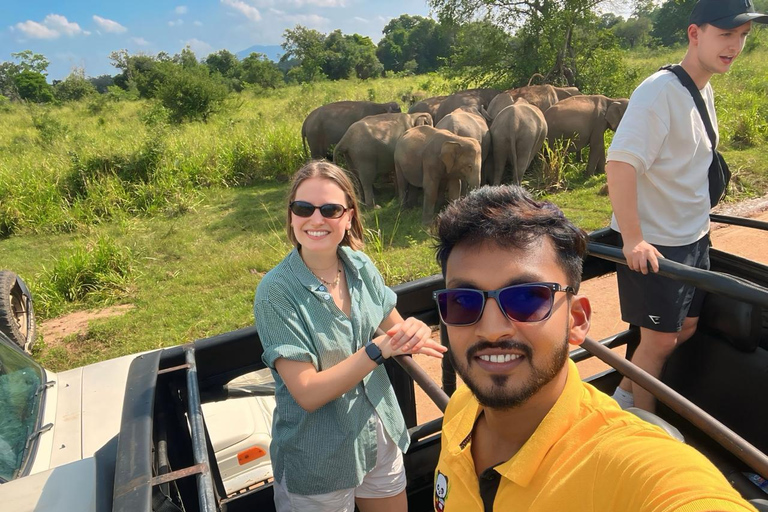Wild Elephant Safari Tour Minneriya, Kaudulla & Hurulu ECO Start from Dambulla