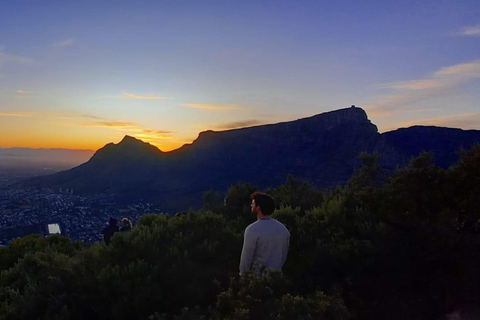 Cape Town: Lion's Head Sunrise or Sunset Hike Sunrise or Sunset Hike with Drop-Off