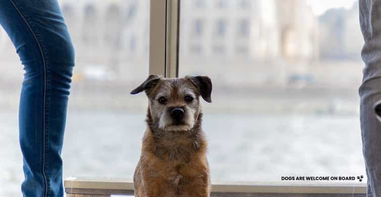 Budapest: Nighttime or Daytime City Sightseeing Cruise photo 13