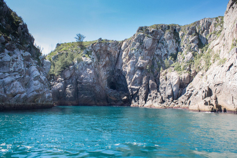 Depuis Rio : Visite d&#039;une jounée à Búzios avec excursion en catamaran et déjeuner