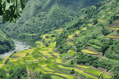 From Manila: 2-Day Buscalan Tour with Apo Whang-od2-Day Buscalan Tour with Apo Whang-od (Private)