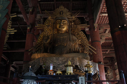 Visite de Nara pour les lève-tôt (départ de la gare de Kyoto)Tour de Nara pour les lève-tôt (option de départ de Kyoto disponible)