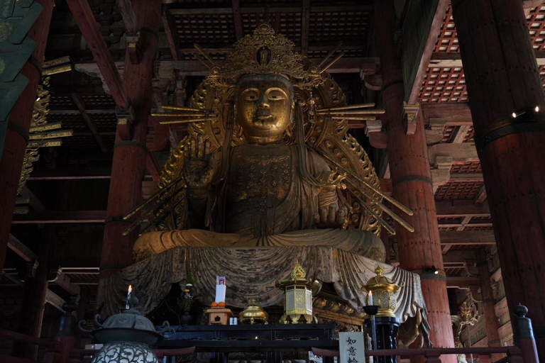 Visite de Nara pour les lève-tôt (départ de la gare de Kyoto)Tour de Nara pour les lève-tôt (option de départ de Kyoto disponible)