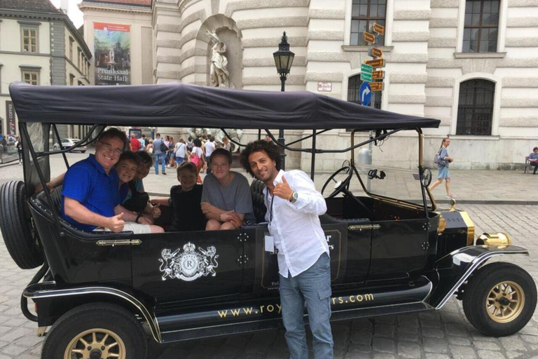 Viena: Tour turístico privado en coche eléctricoTour nocturno privado de 60 minutos (con bebidas)