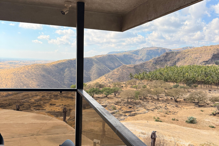 Salalah Local Life Tour: Camels, Coast & Natural Wonders