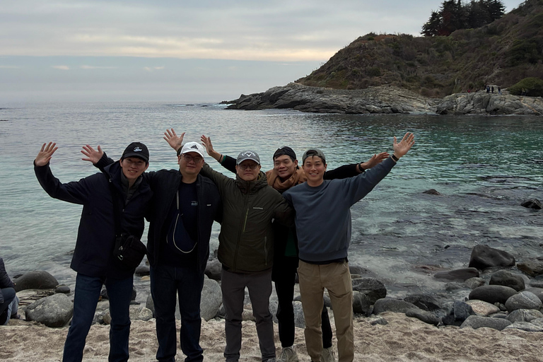 From Santiago: Papudo Horseback Ride & Penguin Watching