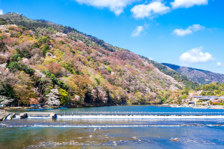 Kyoto/Osaka: Nijo Castle, Arashiyama, Kinkakuji Day Tour Kyoto Full Day Tour | Depart from Kyoto 9:00 AM