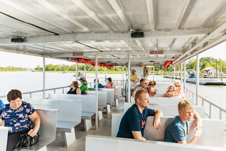 Nova Orleans: Passeio de barco pelo pântano e Bayou com transporte