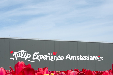 From Amsterdam: Tulip Experience and Tulip Fields Tour 4-hour tour Tulip Experience