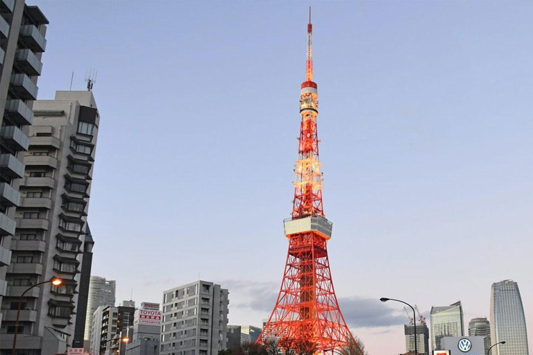 Tokyo : City of Lights Private Tour Visitez les meilleures attractions