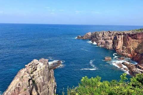 Wakayama: Private Hidden Trails & Nachi Falls Day Tour