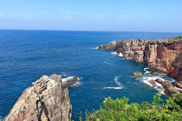 Wakayama: Private Hidden Trails & Nachi Falls Day Tour