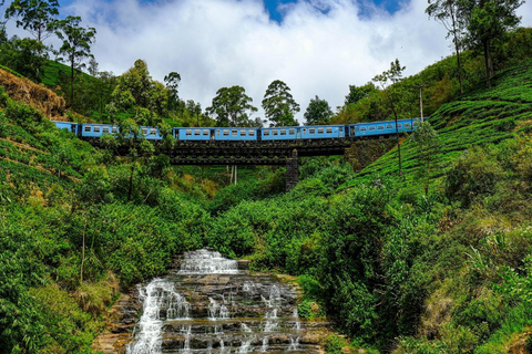 Kandy: Nanu Oya Scenic First Class Railway Experience
