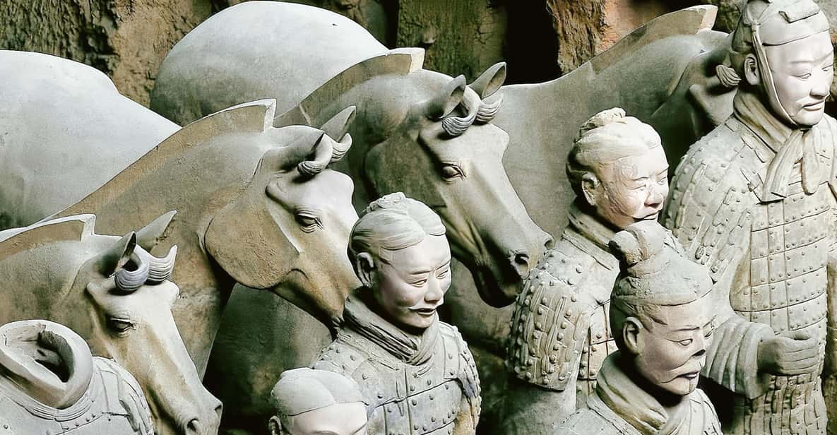 西安1日体験：兵馬俑と市内の見どころ（昼食付き） | GetYourGuide