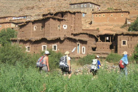 Marrakesz: 3-dniowy trekking w górach Atlasu Wysokiego i Trzech Dolinach