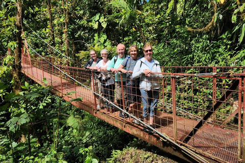 Monteverde: Cloud Forest Guided Tour with Hotel Pickup