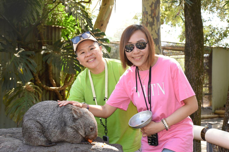 Sydney: Featherdale Wildlife Park Private Tour