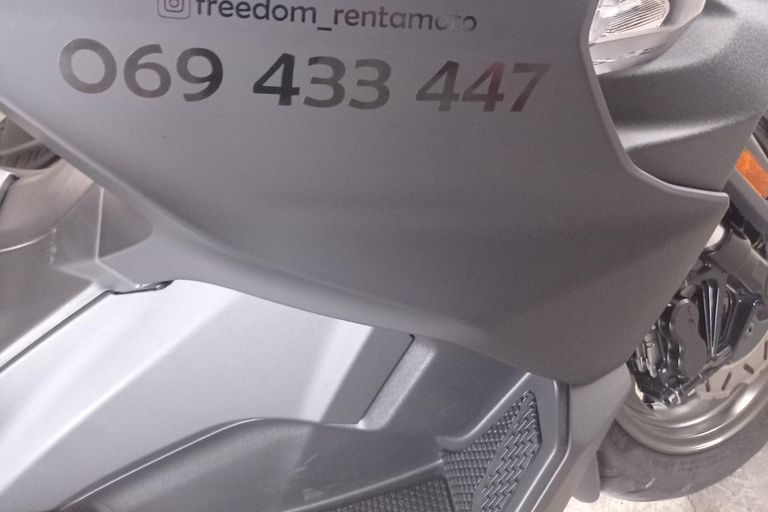 Kotor e Budva : Tour autoguidati con Freedom Scooters