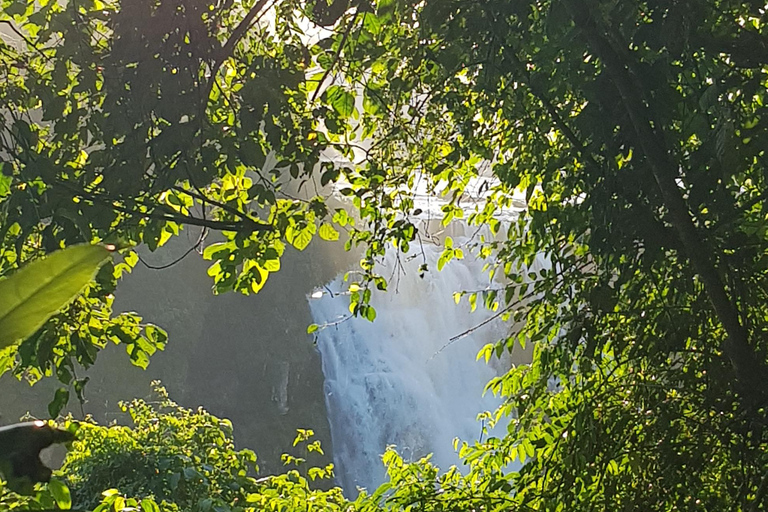 Iguassu Total Experience