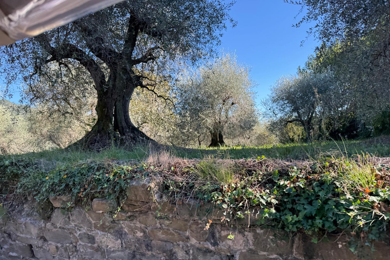 Florence: Private Golf Cart Tour to Fiesole & Roman Sites