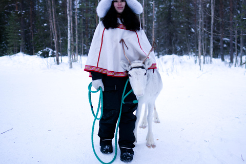 Levi: Winter Wilderness Husky & Reindeer Safari Combo Tour