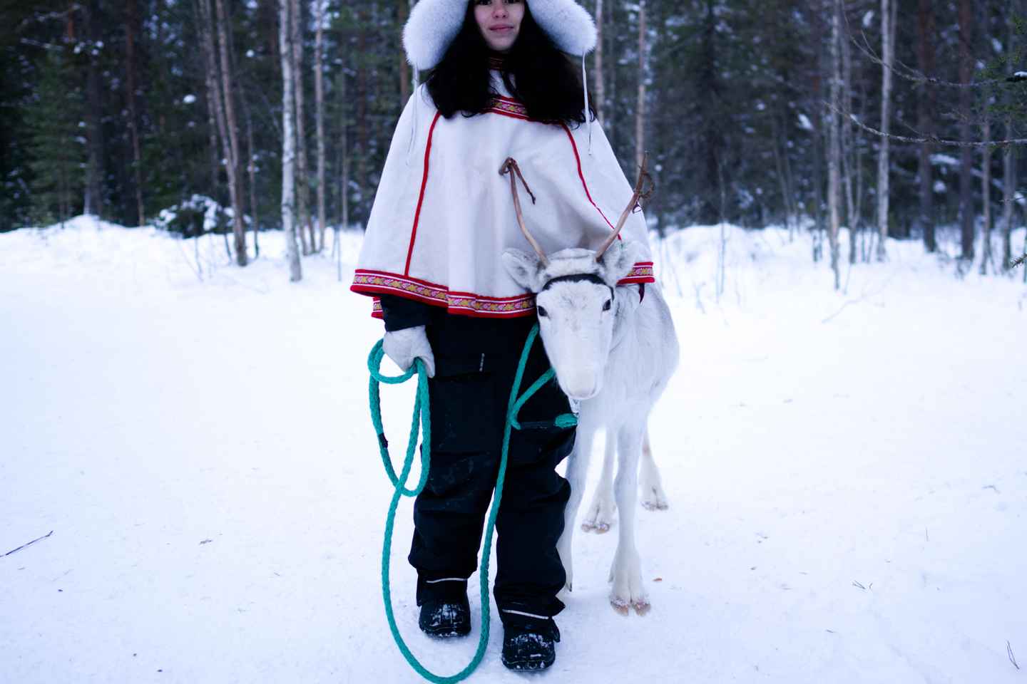 Levi: Winter Wilderness Husky & Reindeer Safari Combo Tour