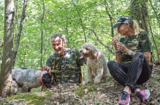 Toskana: Erlebnis Trüffelsuche mit Verkostung