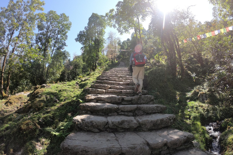 Pokhara: 7-Day Annapurna Base Camp & Jhinu Hot Springs Trek
