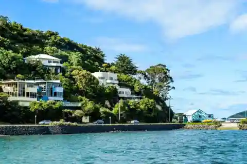 Tour a piedi del lato affascinante di Dunedin per coppie