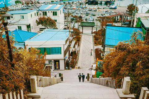 From Busan: Pohang Space Walk & Homigot Sunrise Plaza Tour Seomyeon Station, Exit 4