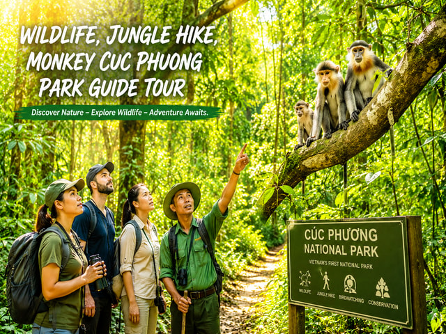 Ninh Binh: CUC PHUONG Park Jungle Hike Day Tour, SMALL GROUP