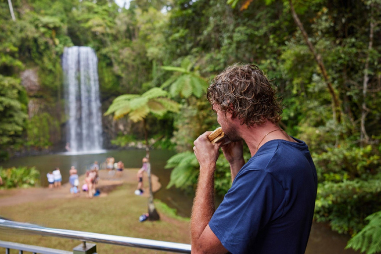 Von Cairns aus: Atherton Tablelands Öko-Abenteuer &amp; Schwimmen Tour