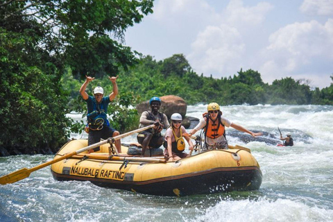 Jinja: Nile River Whitewater Rafting with Lunch