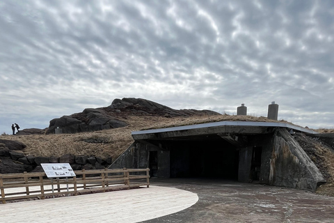 3 hour City Tour of St. John's, small group up to ten quests