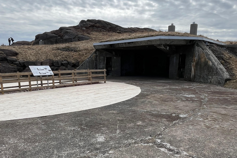 3 hour City Tour of St. John's, small group up to ten quests