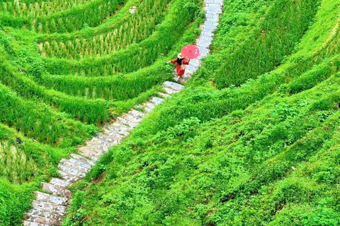 Guizhou: Longji Rice Terraces Tickets