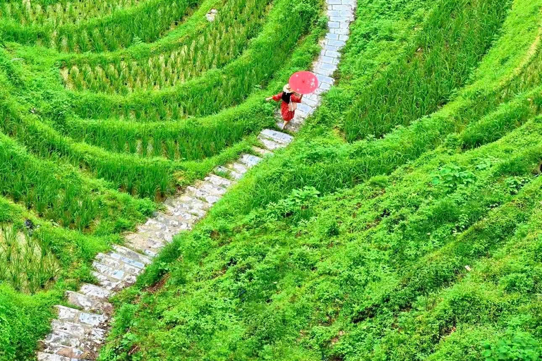 Guizhou: Longji Rice Terraces Tickets