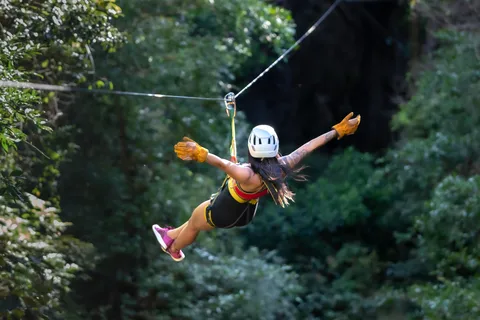 Excursion dans la canopée du Canyon