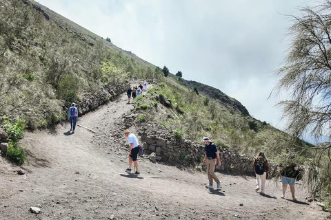 Rome: Vesuvius, Pompeii or Herculaneum by High-speed Train Pompeii Spanish Guided Tour & Vesuvio Entry ticket