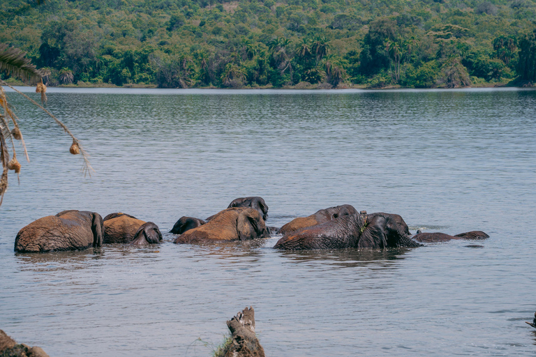 Kigali: Akagera National Park Safari with Boat Cruise