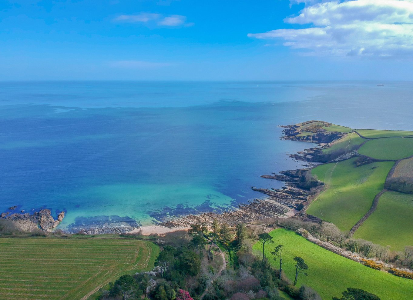 Falmouth: Eftermiddagste og halvdagstur til Marazion